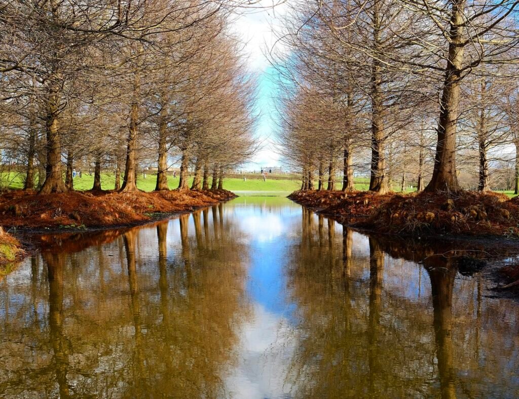 Buffer Dashboard mit geplanter Social Media Kampagne auf einem Laptop