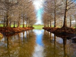 Dashboard von Buffer zur Planung von Social-Media-Posts auf verschiedenen Plattformen