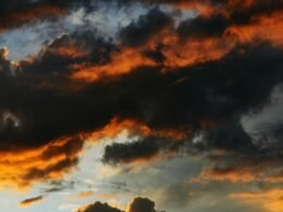 Dashboard von Buffer mit Social-Media-Planung für verschiedene Plattformen