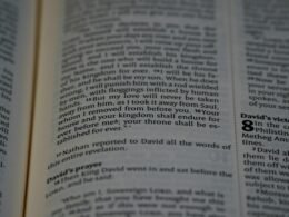 Dashboard von Buffer mit geplanten Social Media Beiträgen und Analyse-Tools