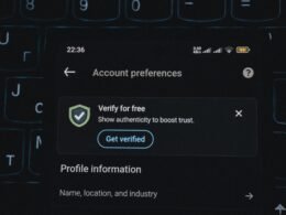 Screenshot eines Account-Einstellungen-Bildschirms mit eingeblendeter Aufforderung zur Verifizierung auf einer Benutzeroberfläche