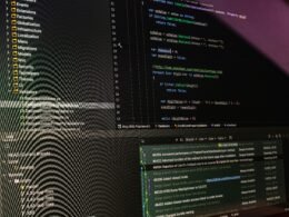 Ein Computerbildschirm mit mehreren Zeilen Code, die Softwareentwicklung und Programmierung zeigen
