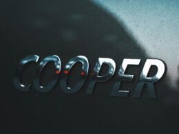 Digitale Illustration eines Cooper mit stilisierten Designelementen, erstellt von Alexander Tsang für visuelles Storytelling.