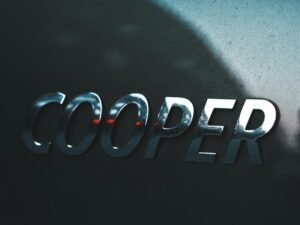 Digitale Illustration eines Cooper mit stilisierten Designelementen, erstellt von Alexander Tsang für visuelles Storytelling.