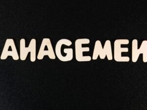 Weißes Wort Management auf schwarzem Hintergrund, neutral gehalten und passend zum Thema Führung und Organisation dargestellt