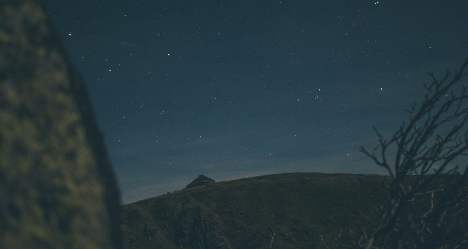 Berglandschaft mit einem markanten Baum im Vordergrund und sternenklarem Nachthimmel, Fotografie von Le Mucky