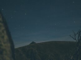 Berglandschaft mit einem markanten Baum im Vordergrund und sternenklarem Nachthimmel, Fotografie von Le Mucky