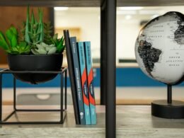 Ein Bücherregal mit einem Globus und mehreren aufgereihten Büchern, dekorativ angeordnet für Lese- und Arbeitsbereiche.