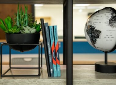 Ein Bücherregal mit einem Globus und mehreren Büchern, ideal als Einrichtungselement in modernen Büros oder Arbeitszimmern.