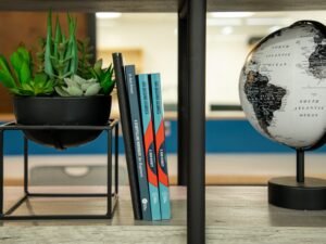 Offenes Bücherregal mit verschiedenen Büchern und dekorativem Globus als Blickfang, geeignet für Themen zu Wissen und Bildung