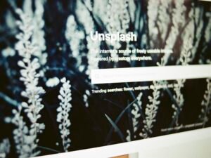 Ein Computerbildschirm mit einer großformatigen Abbildung einer Pflanze, fotografiert auf einem Schreibtisch