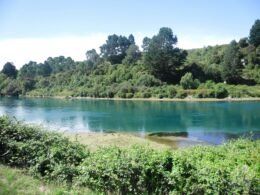 Großer See, umringt von zahlreichen Bäumen und Natur, aufgenommen aus der Vogelperspektive bei Tageslicht