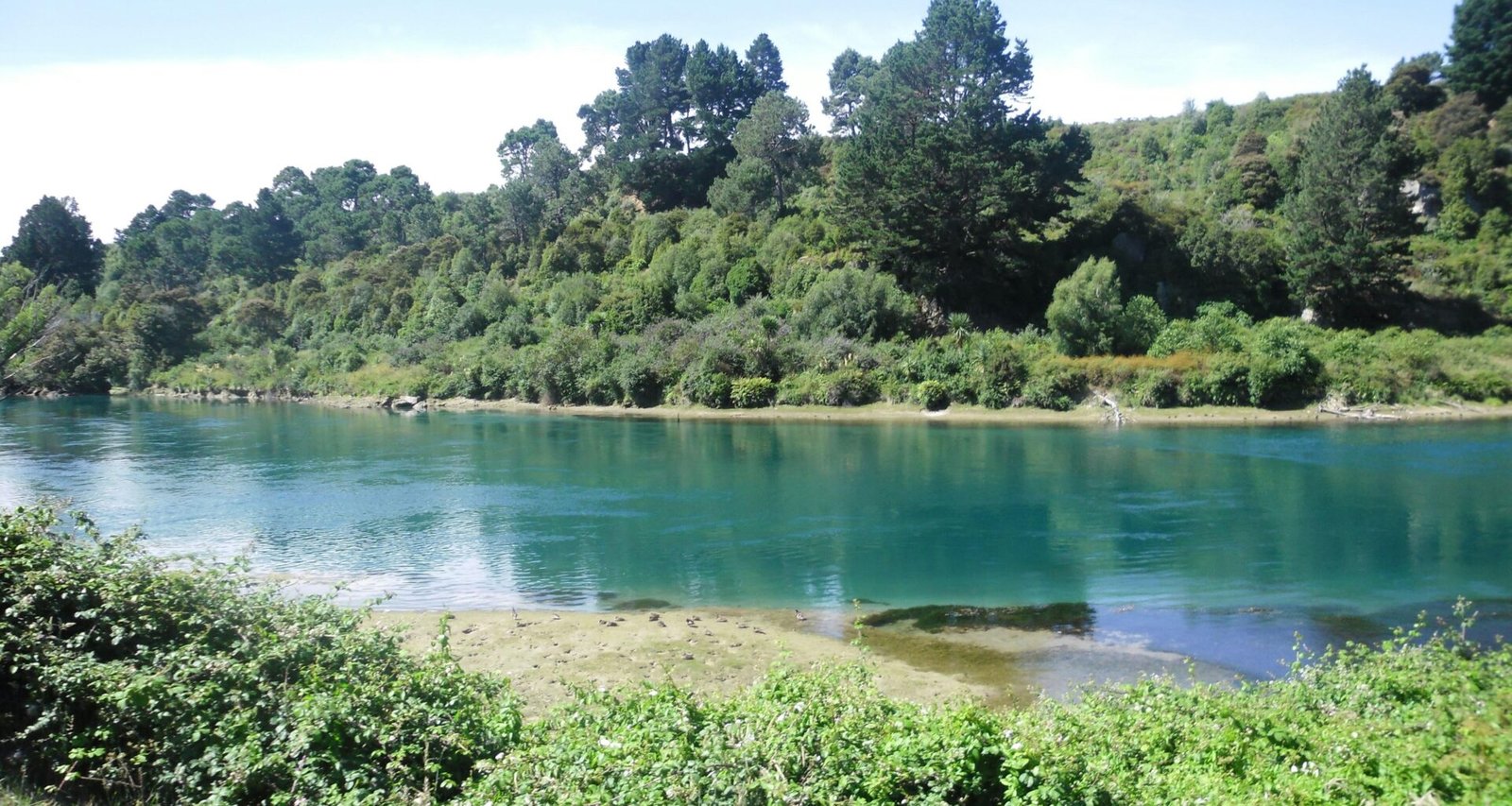 Großer See mit von Bäumen gesäumtem Ufer, ruhige Wasseroberfläche, natürliche Landschaft, aufgenommen in Deutschland
