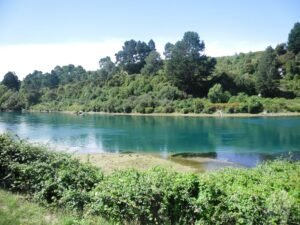Großer See mit von Bäumen gesäumtem Ufer, ruhige Wasseroberfläche, natürliche Landschaft, aufgenommen in Deutschland