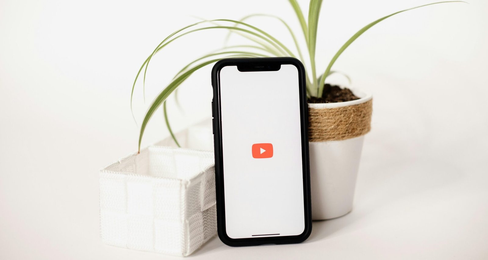 Ein Mobiltelefon liegt direkt neben einer kleinen Zimmerpflanze auf einer hellen Tischoberfläche.