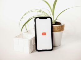 Ein Mobiltelefon liegt direkt neben einer kleinen Zimmerpflanze auf einer hellen Tischoberfläche.
