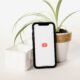 Smartphone auf Tisch neben einer grünen Topfpflanze, aufgenommen aus nächster Nähe