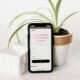 Ein Mobiltelefon liegt neben einem grünen Blumentopf auf einem Holztisch in einem hellen Innenraum, modernes Setting