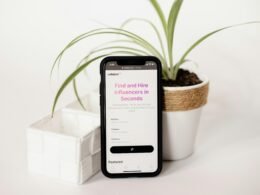 Ein Handy liegt neben einem kleinen Topfpflanze auf einem Tisch, perfektes Beispiel für moderne Arbeitsumgebungen