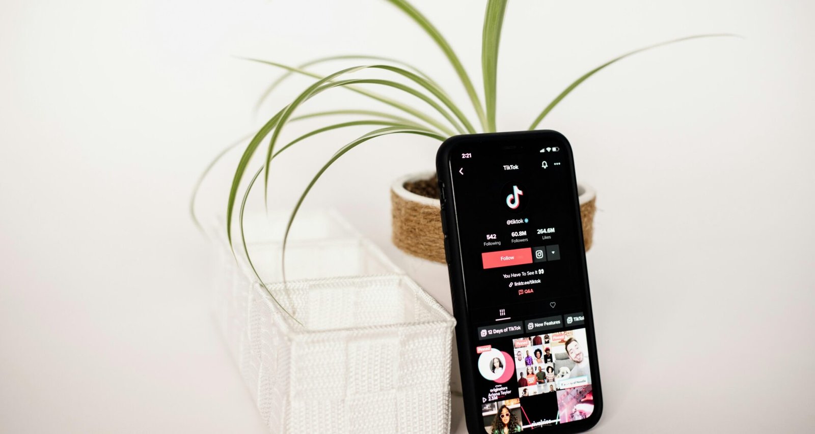 Ein Handy liegt auf einem Holztisch, direkt neben einer kleinen grünen Topfpflanze, aufgenommen aus der Vogelperspektive.