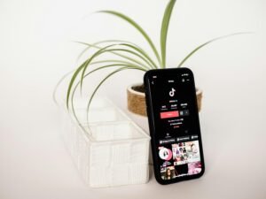 Ein Handy liegt auf einem Holztisch, direkt neben einer kleinen grünen Topfpflanze, aufgenommen aus der Vogelperspektive.