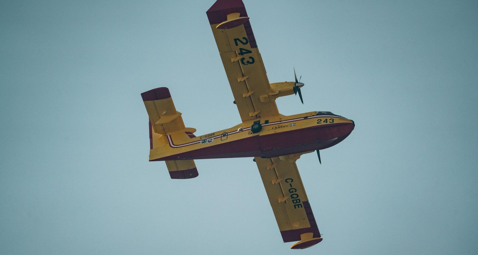 Kleines gelbes Flugzeug fliegt durch einen wolkenlosen, blauen Himmel, aufgenommen aus der Bodenperspektive