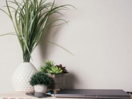 Laptop-Computer auf einem Holzschreibtisch, geeignet für Homeoffice, digitale Projekte oder Online-Marketing-Artikel.