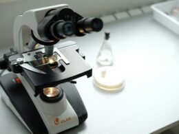 Ein Mikroskop steht auf einem Labortisch neben einer Flasche, symbolisiert Forschung und wissenschaftliche Arbeit.