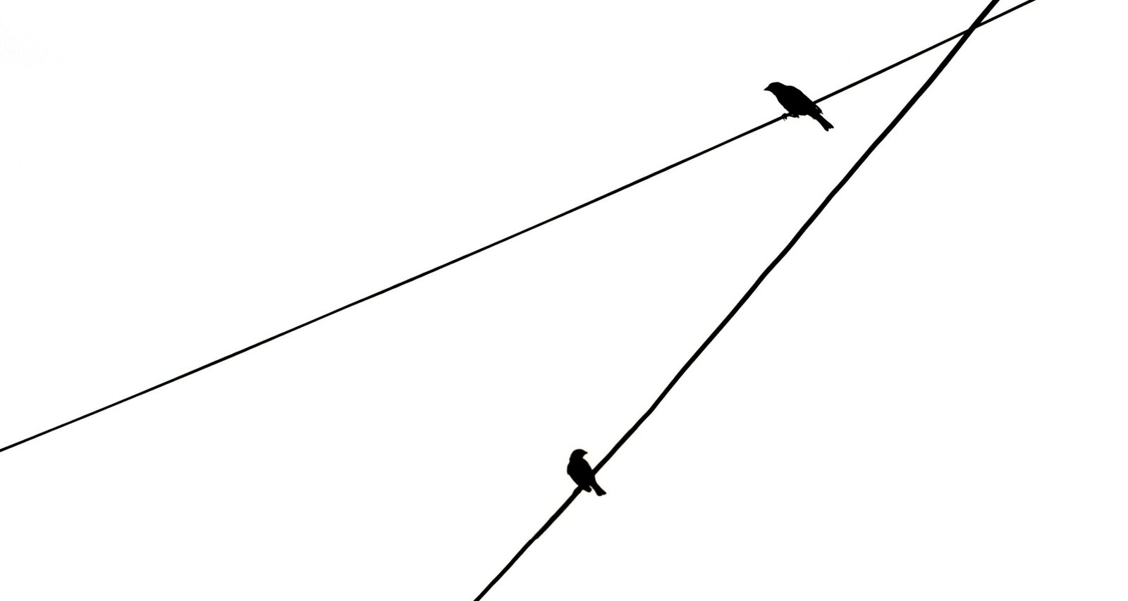 Zwei Vögel sitzen nebeneinander auf einer Stromleitung vor klarem Himmel, minimalistisches Naturmotiv für Web und Technikthemen.