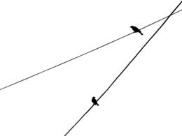 Zwei Vögel sitzen nebeneinander auf einer Stromleitung vor klarem Himmel, minimalistisches Naturmotiv für Web und Technikthemen.