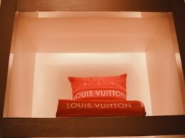 Rotes Kissen liegt oben auf einer hölzernen Leiter und dient als dekoratives Element in einem Raum