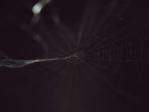 Schwarz-weißes Foto eines filigranen Spinnennetzes, das sich mit klaren Fäden gegen einen dunklen Hintergrund abhebt