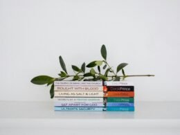 Mehrere Bücher liegen gestapelt auf einem Tisch, im Vordergrund für Artikel zur Bedeutung von Wissen und Bildung