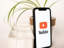 Smartphone mit YouTube-Logo neben einer kleinen Topfpflanze auf einem Tisch, ideal zur Darstellung von Video-Marketing-Themen
