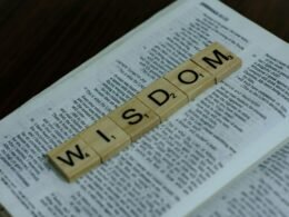 Scrabble-Spielsteine sind so angeordnet, dass sie das Wort 'W' auf einem hellen Hintergrund bilden.