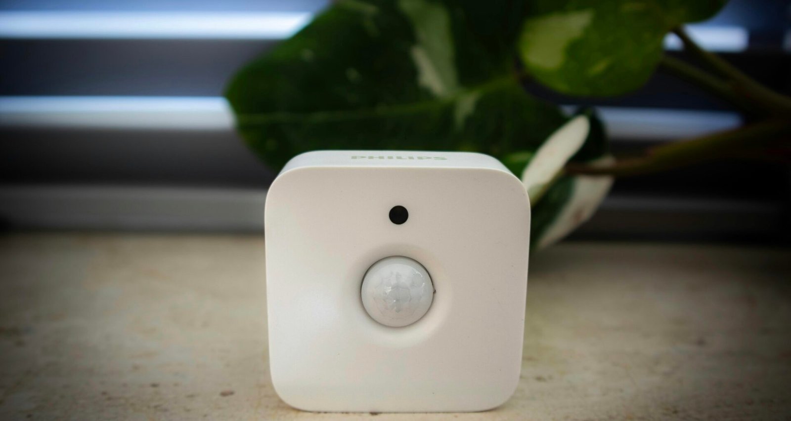 Weißer Sensor vor grünem Blattwerk, moderne Technologie in natürlicher Umgebung, Fokus auf Sensortechnik