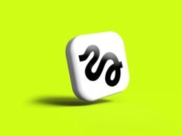 Weißes Icon mit schwarzem Schlangensymbol, minimalistischer Stil, geeignet für Artikel über Symbolik in Technologie und IT