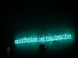 Grünes Neon-Schild mit der Aufschrift 'wultuhten ist hausnace' an einer Wand, fotografiert von Maximalfocus.