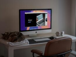 Eine getigerte Katze liegt auf einem Schreibtisch neben einem Computerbildschirm und einer Tastatur.