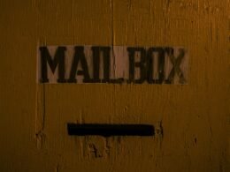 Nahaufnahme einer Tür mit einem Sticker, die das Zusammenspiel von Materialität und urbanem Design zeigt.