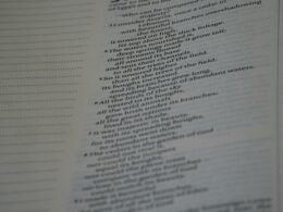 Nahaufnahme eines Buches mit gut lesbarem Text auf den Seiten, ideal zur Illustration von Themen rund um Literatur und Wissen