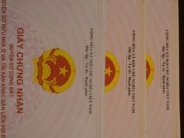 Zwei Bücher liegen nebeneinander auf einem Tisch, Fokus auf Buchcover und Seitenränder, geeignet für Wissens- oder Lerninhalte.