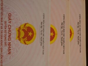 Zwei Bücher liegen nebeneinander auf einem Tisch, Fokus auf Buchcover und Seitenränder, geeignet für Wissens- oder Lerninhalte.