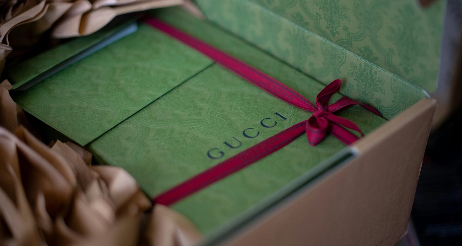 Eine Person hält ein grünes Buch in den Händen, Nahaufnahme mit Fokus auf das Buch und die Hände