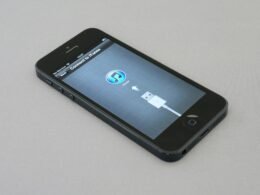 Ein eingeschaltetes iPhone 5 liegt auf einer hellen Oberfläche und zeigt den Homebildschirm mit App-Symbolen.