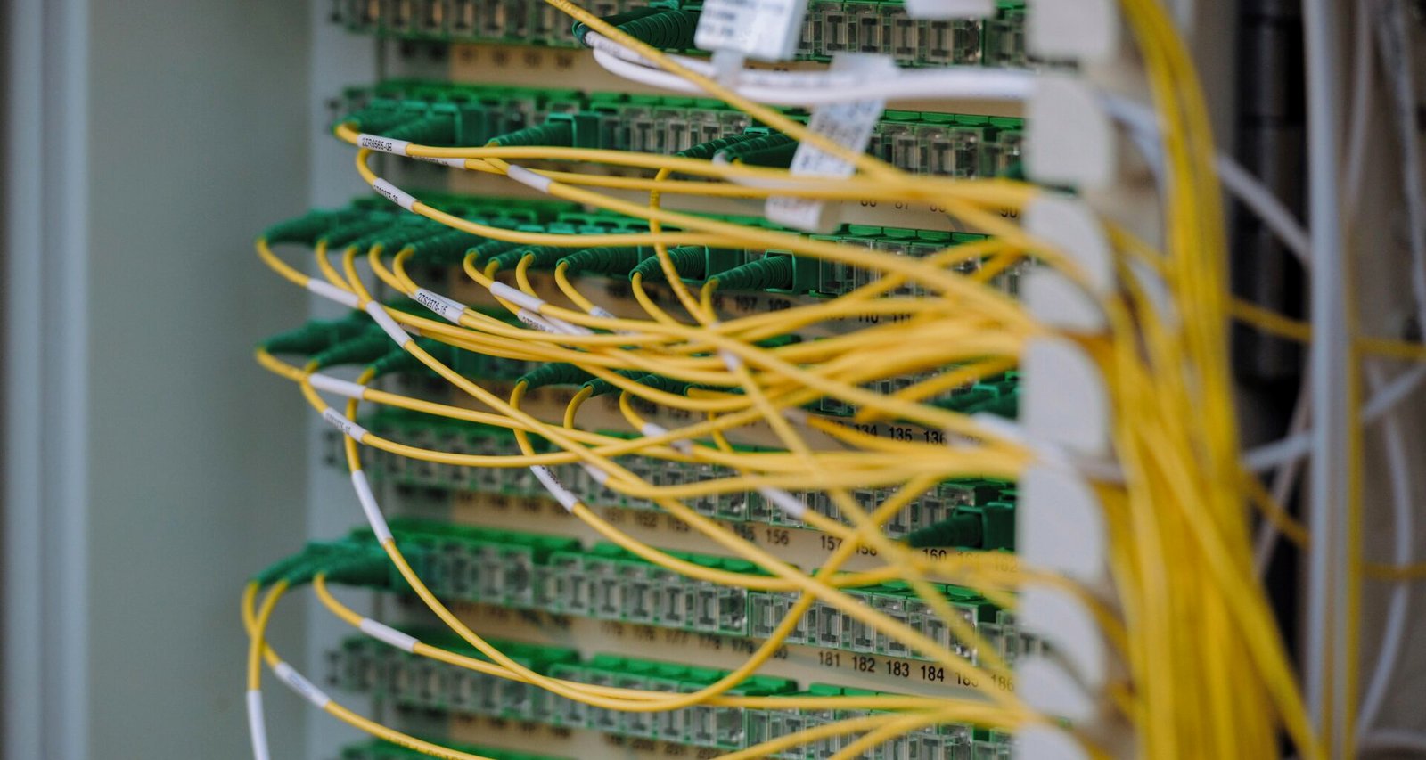 Gelbe und grüne Kabel sind akkurat verbunden und zeigen die korrekte Anordnung von Leitungen in einer technischen Umgebung.