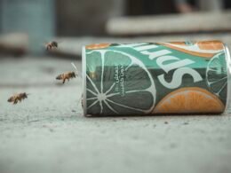 Eine grüne und orangefarbene Sprite-Dose steht aufrecht vor neutralem Hintergrund, klar im Fokus und detailliert abgebildet.