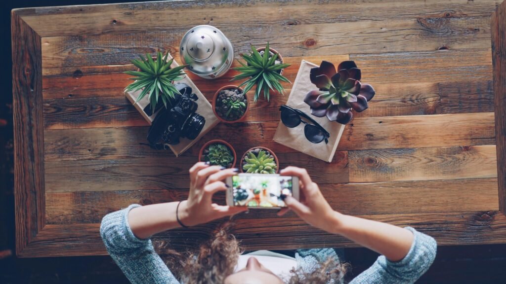 Hände halten ein Smartphone und fotografieren mehrere Zimmerpflanzen in Töpfen auf einem Tisch aus der Vogelperspektive.