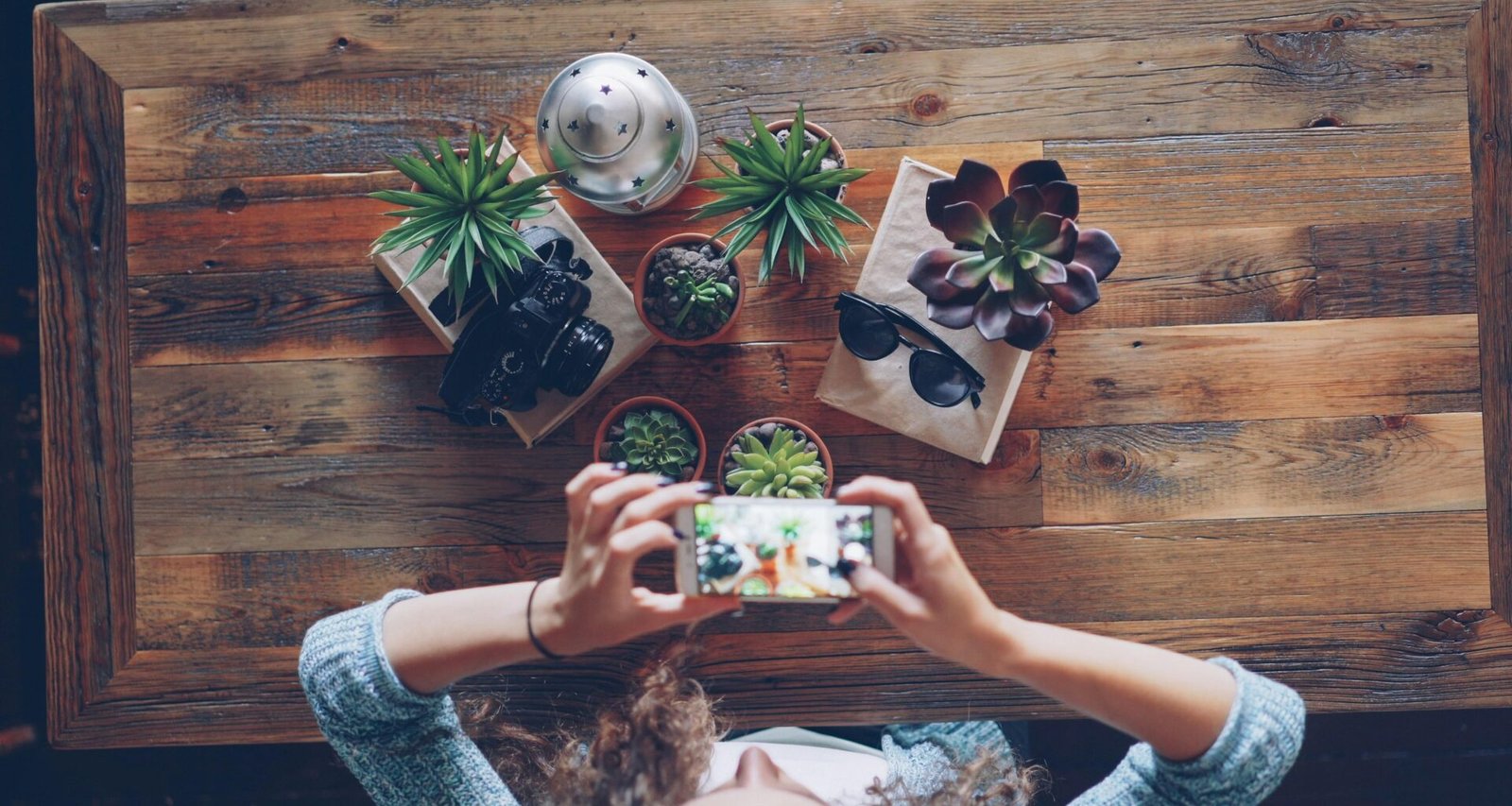 Hände halten ein Smartphone und fotografieren mehrere Zimmerpflanzen in Töpfen auf einem Tisch aus der Vogelperspektive.
