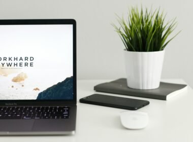 MacBook Pro auf einem Holztisch neben grüner Zimmerpflanze, ideal für Arbeit oder Homeoffice-Umgebungen.